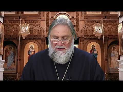 «Свет православия». 03.11.24. 1012 выпуск.
