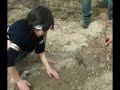 Tree Planting Tree Planting