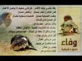 كنت أحسب إن النوايـا مـا تغيـر بالقلـوب