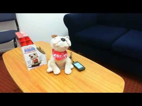 Interactive Patch - Funny Dog that mimics your phone conversation 