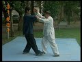 Wang Jie DVD 2. Tuishou