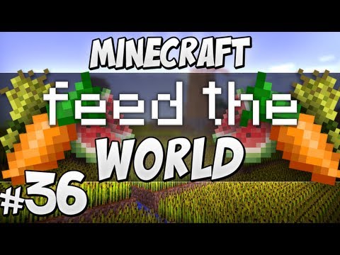 Feed The World - #36 Man's Best Friend