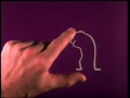 henriette demande a christophe tixier the fire eater de faire une video sur une des ses chansons et il trouve l'idee de faire le montage sur la sexilinea de ...