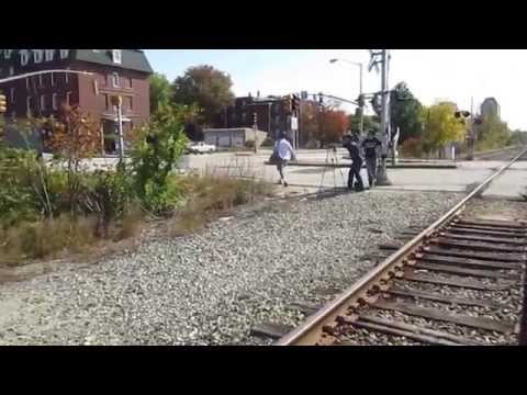 how to train riverbeast