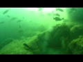 UNCW Scuba Trip