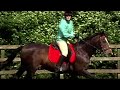 Peg and Vicki, maynooth equestrian centre.