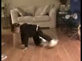 Nia dancing to Alicia Keys Heartburn age 4