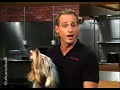 Dog and Puppy Nutrition Video - Fats (Episode 3) Dog and Puppy Nutrition Video - Fats (Episode 3)