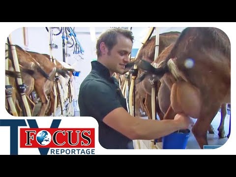 Die Landwirtschaft zwischen Hfesterben und Landlust - Focus TV Reportage