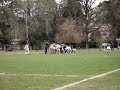 try de pancho a san cirano
