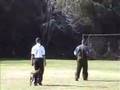 Luigi - Belgian Malinois - Schutzhund II Protection Routine