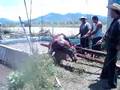 videos de RESCATE DE UN CABALLO