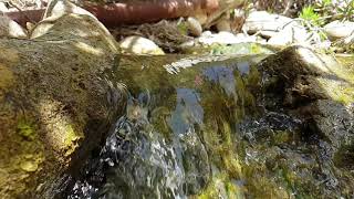 VIDEOS + 43 Avakas George Trail Paphos - Water features Slow Modus 18.06.2020 006