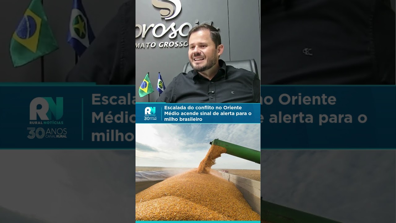 Escalada do conflito no Oriente Médio acende sinal de alerta para o milho brasileiro