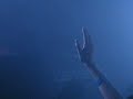 davidmoraes@b.stage(2)