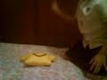 LoKaS MaGiKaS!!!* LoKaS MaGiKaS!!!*