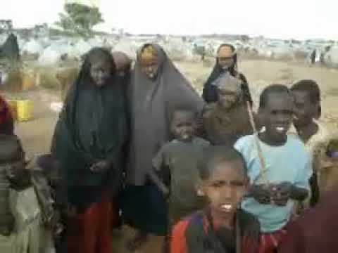 Vedi il video