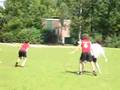 Pookas vs. Red Lights at Windmill Windup
