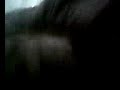 iselda   jaqueta em: dança créu
