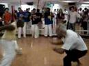 Mestre-Abacate-e-Mes