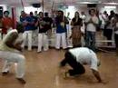 Mestre-Abacate-e-Mes