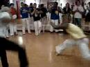 Mestre-Abacate-e-Mes