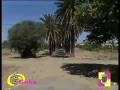 Cuba, Alentejo