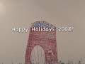 Lily & Perry's Wonderful Christmas