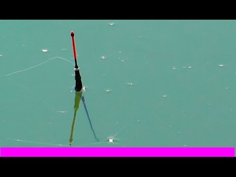 ловля весеннего карася на поплавочную удочку видео ловля весеннего карася на поплавочную удочку видео