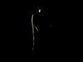 Deftones - Fireal Deftones - Fireal