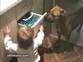 Essa Babá é a melhor