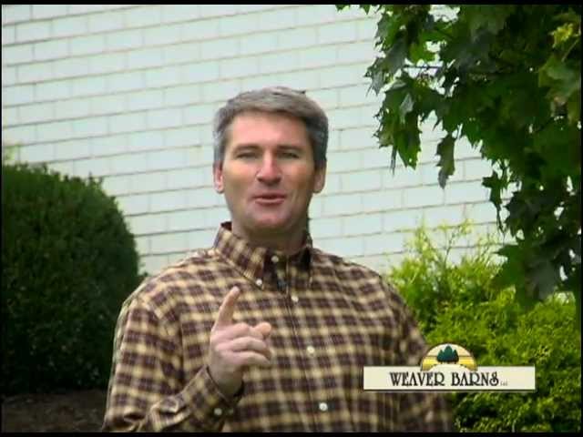 Weaver Barns, Sugar Creek, Ohio_Corporate Video
