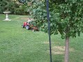 Baby on tractor