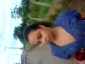 Forr� do Bosque 2008