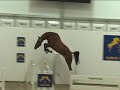 devinette beligneux haras Epsom Gesmeray devinette beligneux haras Epsom Gesmeray