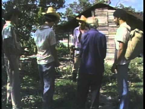 Imagen de previsualización de YouTube