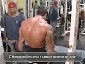 Treino Musculação Samuel Vieira Jr - Fisiculturismo Treino Musculação Samuel Vieira Jr - Fisiculturismo