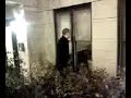 figo in bushes