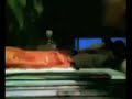 The Finger Adventure