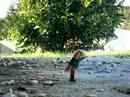 a wak fil play a wak fil play