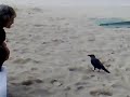 Maldives Biyadhoo