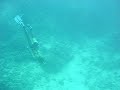 free dive for fun free dive for fun