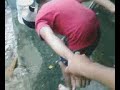 el lloron III