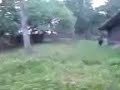 PTV: Peter tr�ffar ett lamm som heter Clabbe