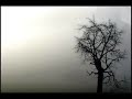 Stato d'animo - Marlene Kuntz