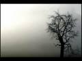 Stato d'animo - Marlene Kuntz