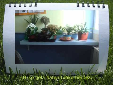 Ver video