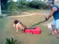 karla vs. �im bi�me makinas?