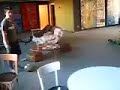 soccer goal soccer goal