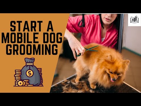 How to Start a Mobile Dog Grooming Business With No Experience | Very Easy-to-Follow Guide